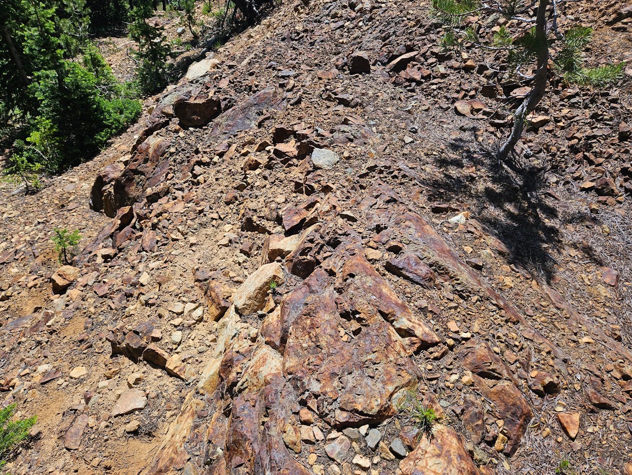 Dividend skarn mineralization