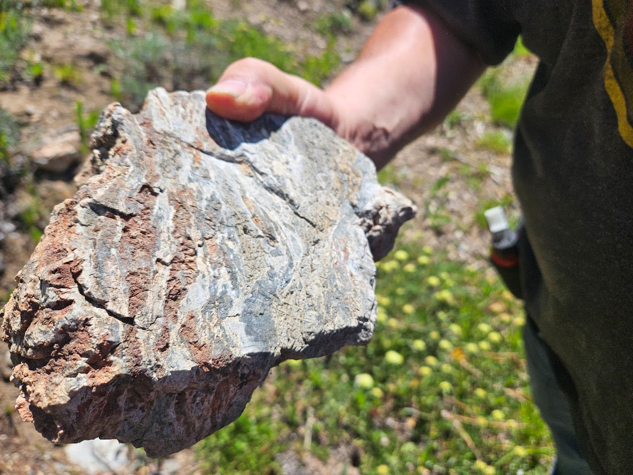 Dividend historic workings or outcrop